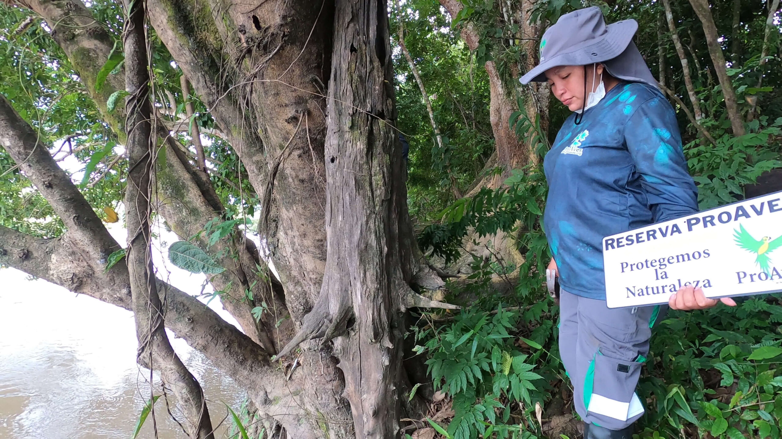 Female Forest Ranger