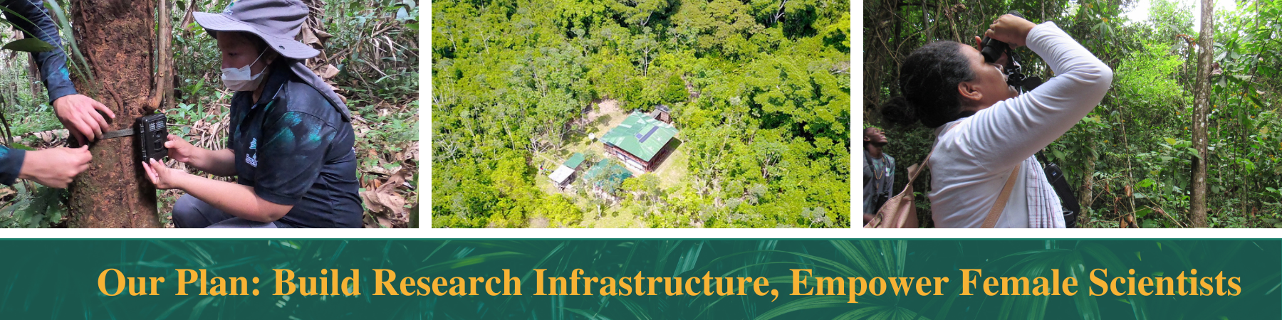 Amazon Rainforest Research Station
