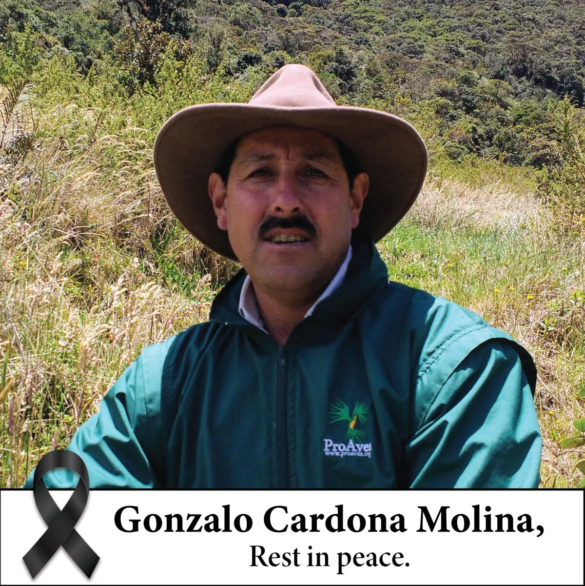 Gonzalo Cardona Molina, Proaves Yellow-eared parrot
