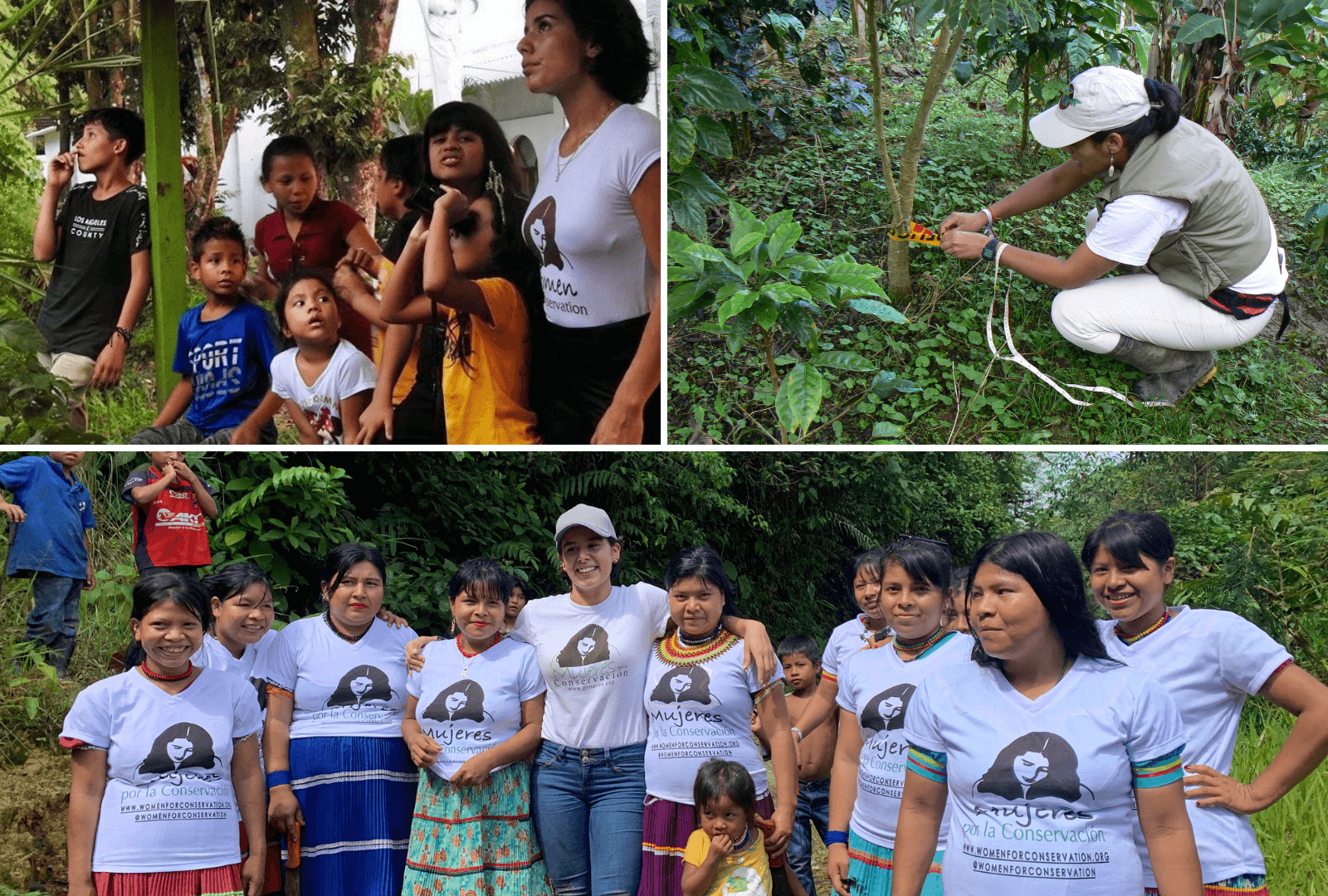 Fighting Climate Change