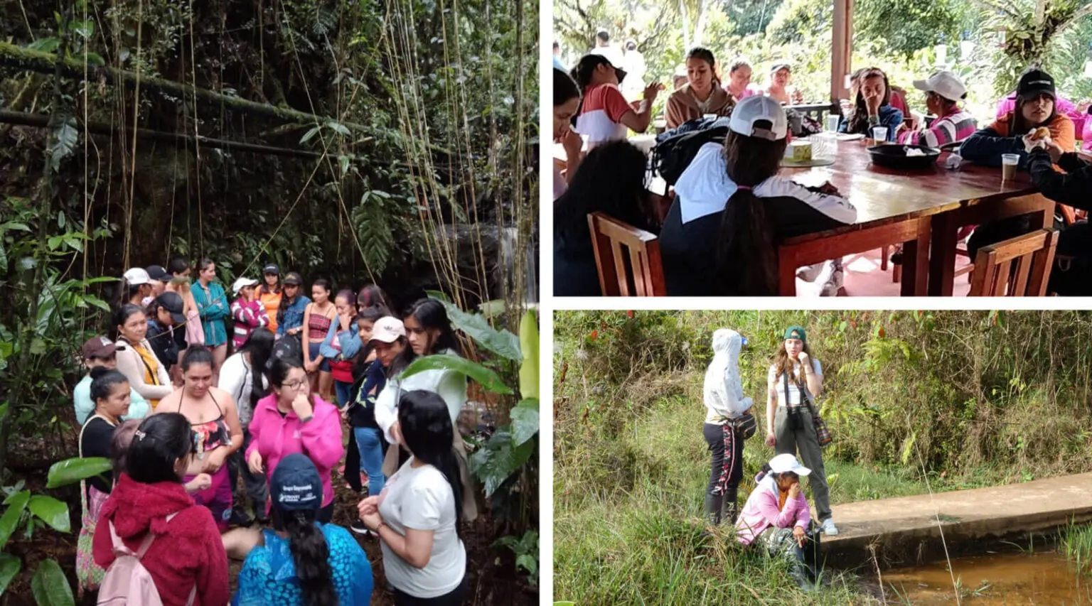 Restoring a Wetland for Endangered Wildlife