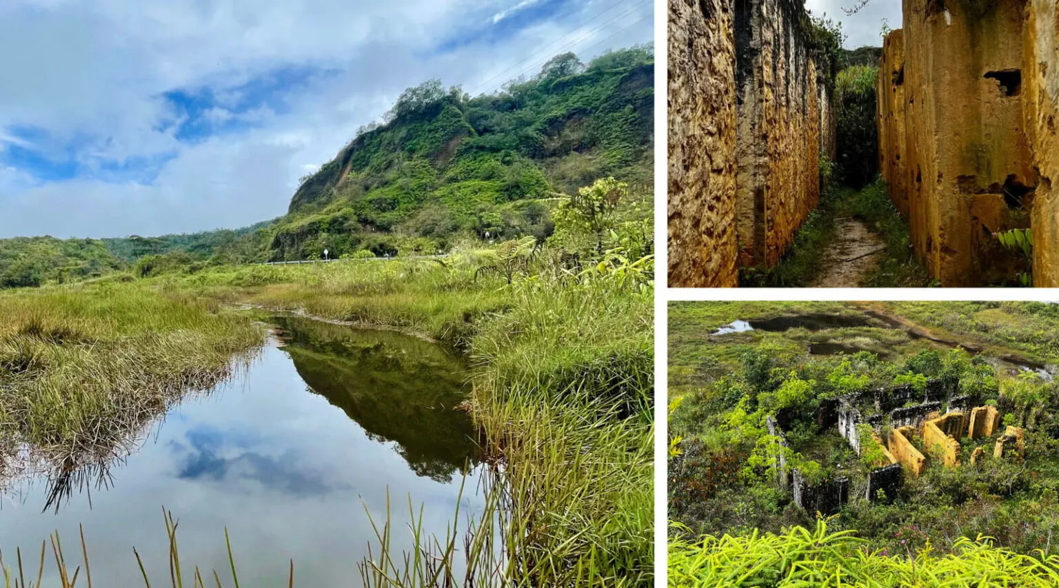 Restoring a Wetland for Endangered Wildlife