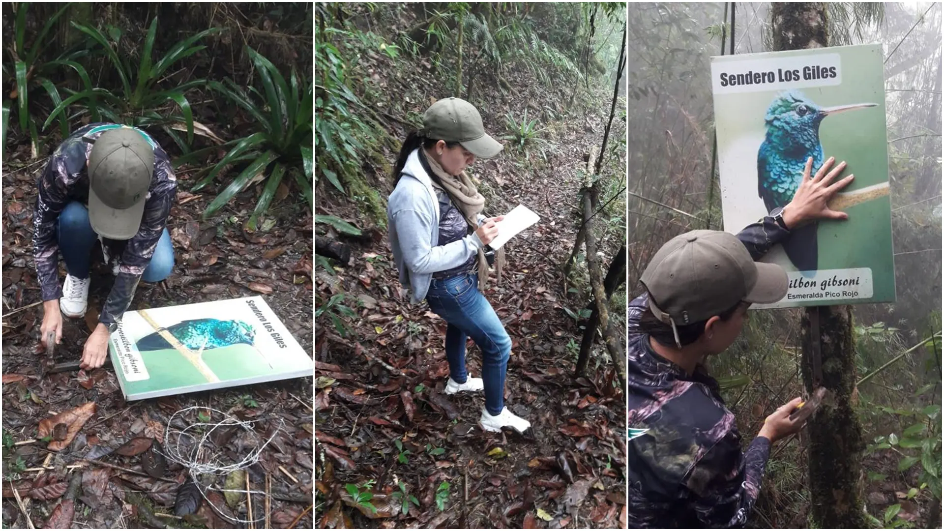 Woman Forest Ranger