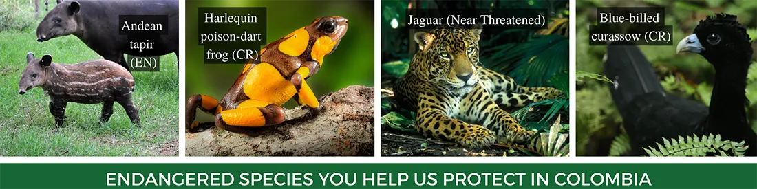 Nature Reserves for Endangered Wildlife