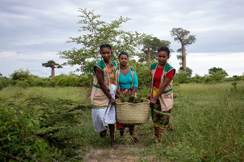 Women Forest Rangers