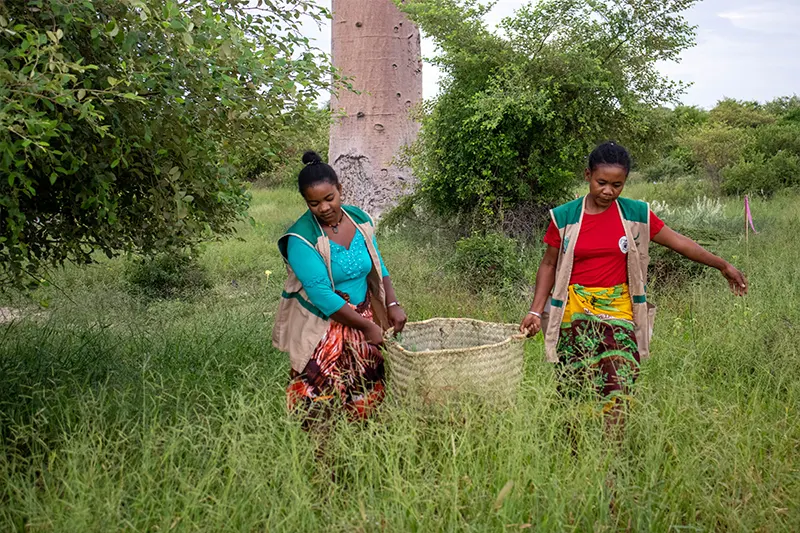 Women Forest Rangers