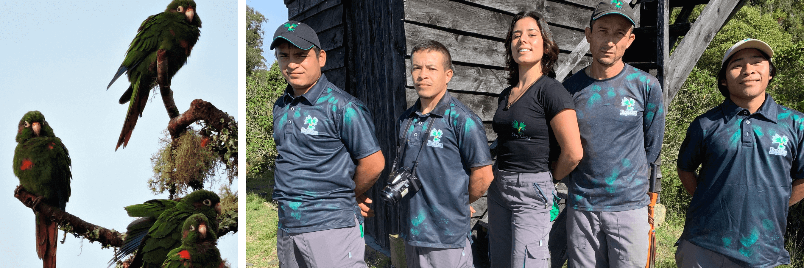 Isabella Cortes Lara