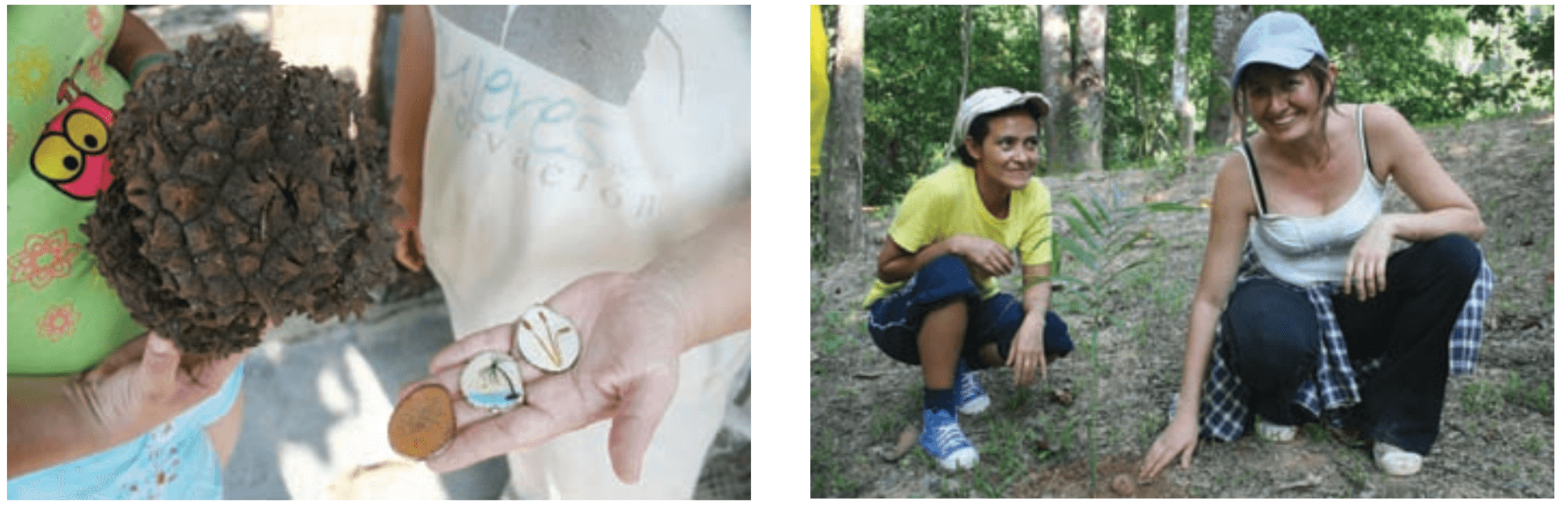 Tagua jewelry